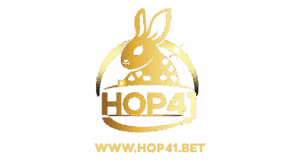 hop41 logo